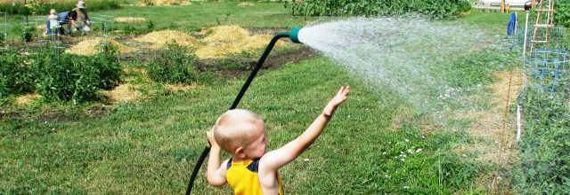 Watering in the community garden